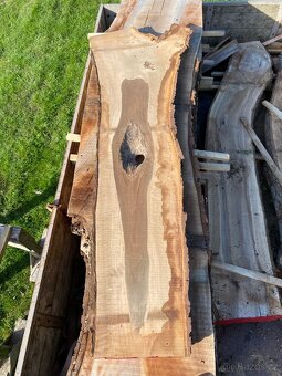 Fošny ořešáku - 8