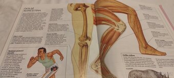 Lidské tělo - kniha pro mládež o fungování lidského těla - 8