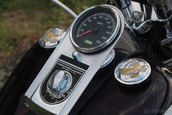 Harley-Davidson 1998 FLSTS Heritage Springer 95thAnniversary - 8