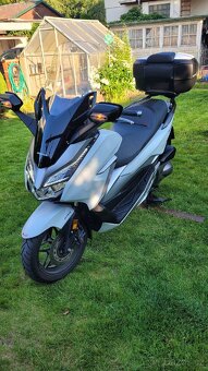 Honda forza 300 - 8