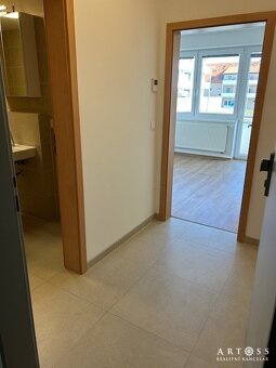 Pronájem 1+kk s velkým balkonem ve Slavkově u Brna - 8