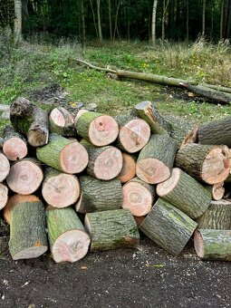 Prodej palivového dřeva - 8