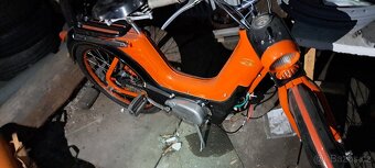 Jawetta 551 - 8