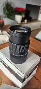 Sony Zv-E10 + Sigma 18-50 f2.8 + Sony 16-50 (Smallrig atd) - 8