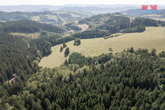Prodej lesa, 8743 m², Valašská Senice - 8