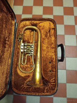 Arioso Lidl Brno a Amati - 8