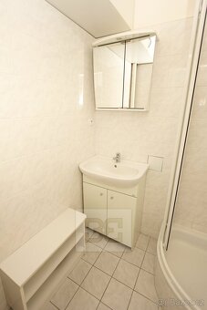 Pronájem bytu 1+kk, Vinařská, Praha 7, ev.č. N08178 - 8
