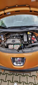 Peugeot 207 - 8
