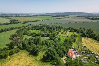 Prodej zahradních pozemků, celkem 5 961 m², Rajhrad - 8