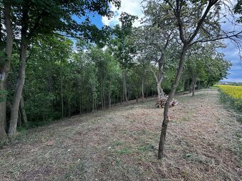 Stavební pozemek 1 528 m² u potoka – v chatařské osadě - 8