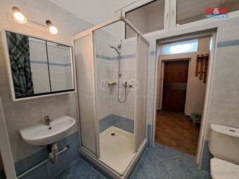Pronájem bytu 1+1, 48 m², Brno, ul. Cejl - 8