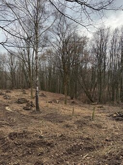 Prodám stavební pozemek v k.ú. Zlín, okres Zlín - 8