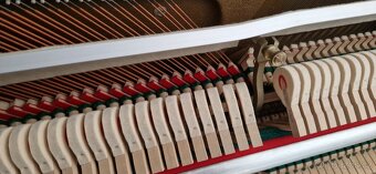 Piano Solton - Renner - 8