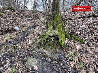 Klid, příroda a vlastní rybník – prodej souboru pozemků 7... - 8