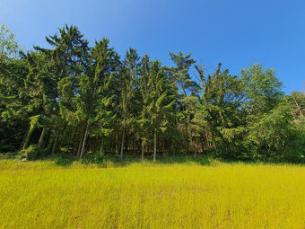 Prodej pozemku v Dubé, Českolipsko. - 8