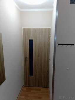 Teplice, Krajní ul. 2+kk , dr. 39m2 - 8