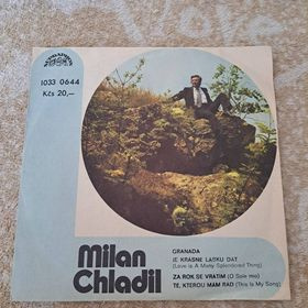 Gramofonové desky - 8