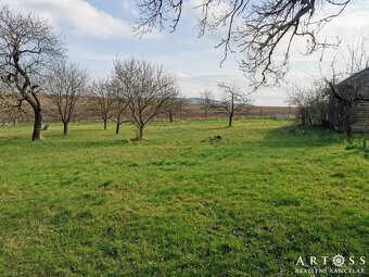 Prodej velké zahrady s chatkou, celkem 2 257 m2 - Ponětovice - 8