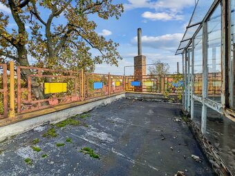 Prodej prostorného domu, pozemek 446 m2 - Jemnice - 8