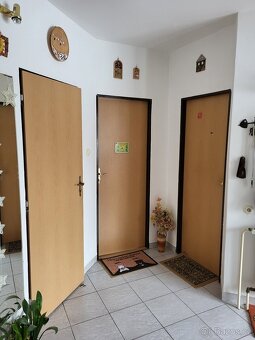 Prodej prostorného rodinného domu v Doudlebách n.Orl. - 8