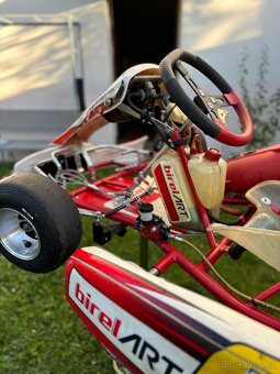 Kart Birel Easykart 60cc - 8
