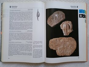 Fossilien, atlas fosílií v němčině, Turek, Beneš, Mareš - 8