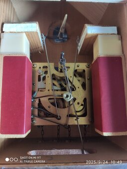 Starsi,  kukacky, Schwarzwald, funkcni - 8