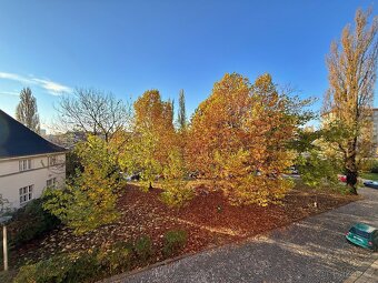 Pronájem bytové jednotky 2+1, Přerov, Velké Novosady - 8