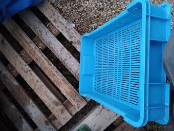 Plastové přepravky OZ ,nízké, barvené - 8