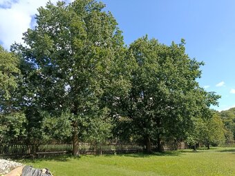 Rodinný dům Radeč u Horní Police - 8