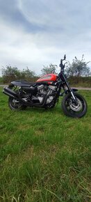 Harley Davidson XR 1200 - 8