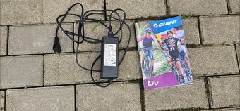 Giant - 8