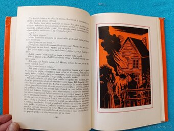 DÍTĚ DIVOČINY - M.K.Rawling - 8