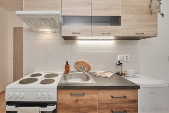 Pronájem bytu 1+kk 21 m2 - 8