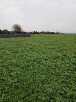 Stavební pozemek 1000m2 ve Vřesině - 8