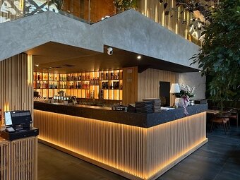 Trofejní nemovitost v centru Hradce Králové - 8