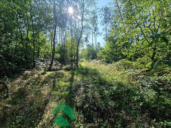 Prodej pozemků s molem u Slapské přehrady, 2345 m2 - Dublovi - 8