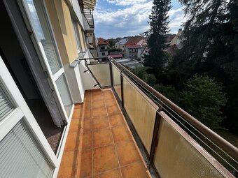 Pronájem bytu 2+1 na ul.5 května Pelhřimov - 8