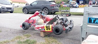 Motokára Birel KZ2 - 8