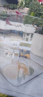 Celoskleněné terárium akvárium - 8