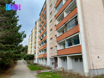 Prodej bytu 2+1, ul. Ostružinová, Brno - Medlánky - 8