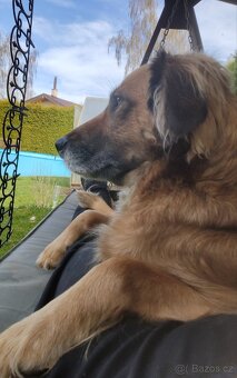 Kalendář Pirelli 2004 - 8