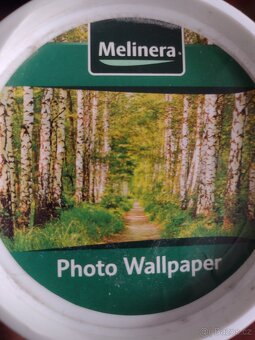 FOTOTAPETA 368x254CM - 8