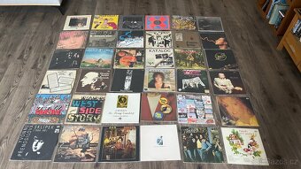 LP / Vinyl desky - velká sbírka (Punk , Rock ,atd) - 8