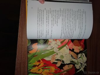 Astrid Lindgrenová knihy Jižní louka- nová, Bratří lví srdce - 8