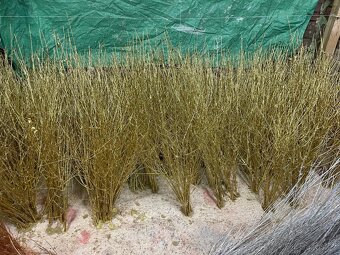 Vánoční Jmeli - 8