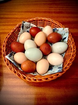 Násadová vejce - 8