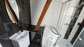 Pronájem bytu 2+1 55m2 Březová u Sokolova - 8