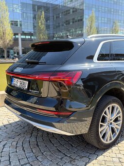 Audi E-Tron Q8 50 quattro DPH - 8