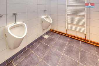 Pronájem obchod a služby, 470 m², Plzeň, ul. Francouzská - 8